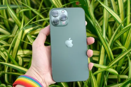 퀸벳 카지노 모바일 앱